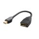 Mini Displayport - Displayport