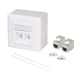 LogiLink Modular faceplate with 2 Cat.6A modules and backbox, white